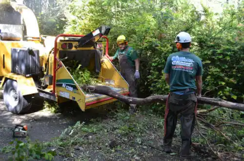 tree services Ucon